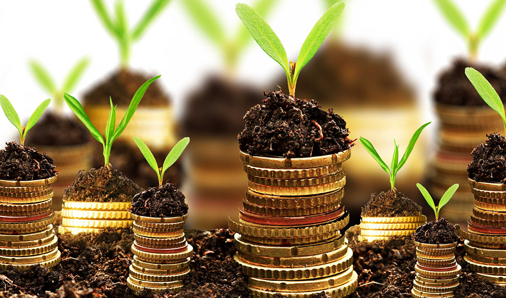 ESG: Tick-box exercise or a true risk differentiator?