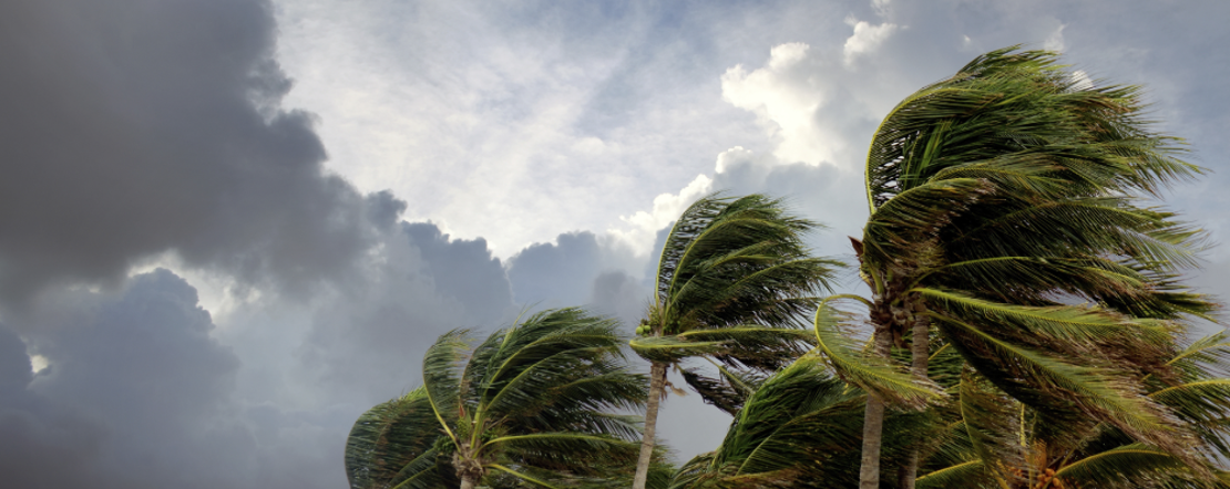Protecting Your Home from Severe Weather 